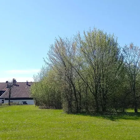 Vorauf Iris 4